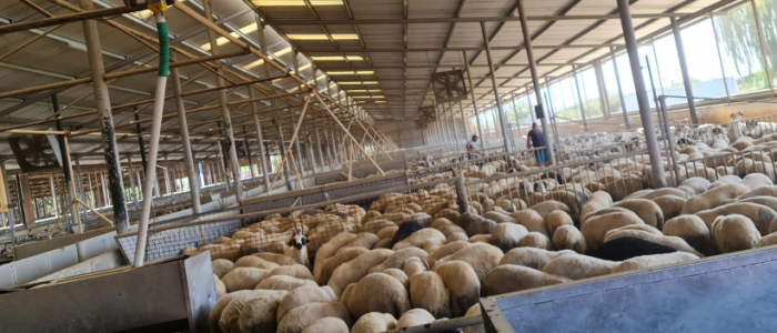 deneme deneme deneme